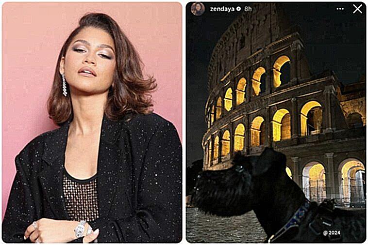 Patrimonio Di Zendaya - Un Esempio Di Successo-2