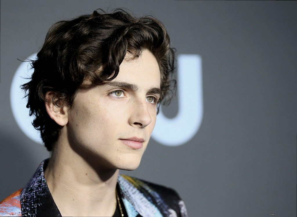 Timothée Chalamet – Un Talento Da Milionario